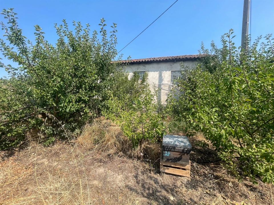 Quinta T1 para Venda em Vale de Prazeres e Mata da Rainha Foto 58