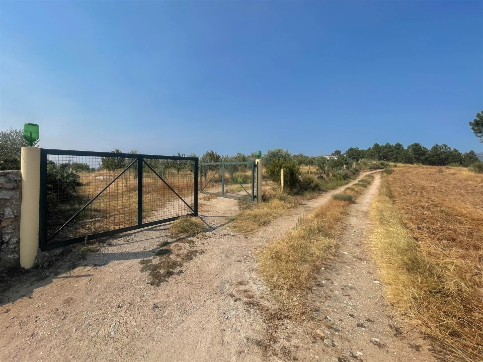 Quinta T1 para Venda em Vale de Prazeres e Mata da Rainha Foto 101