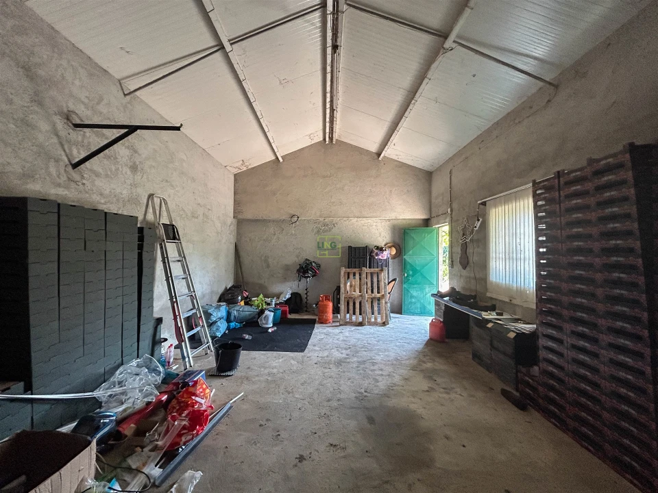 Quinta T1 para Venda em Vale de Prazeres e Mata da Rainha Foto 34