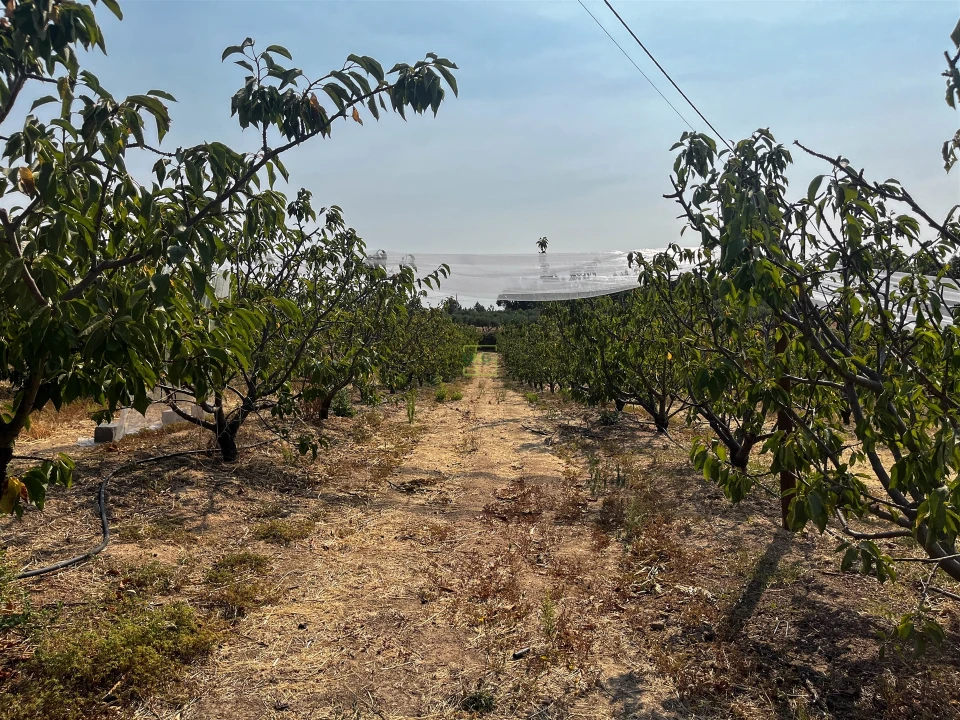 Quinta T1 para Venda em Vale de Prazeres e Mata da Rainha Foto 67
