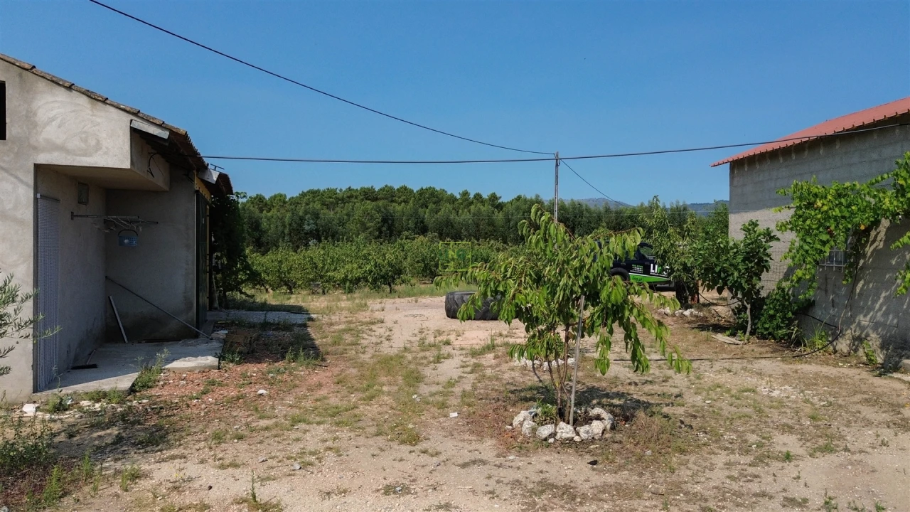 Quinta T1 para Venda em Vale de Prazeres e Mata da Rainha Foto 56