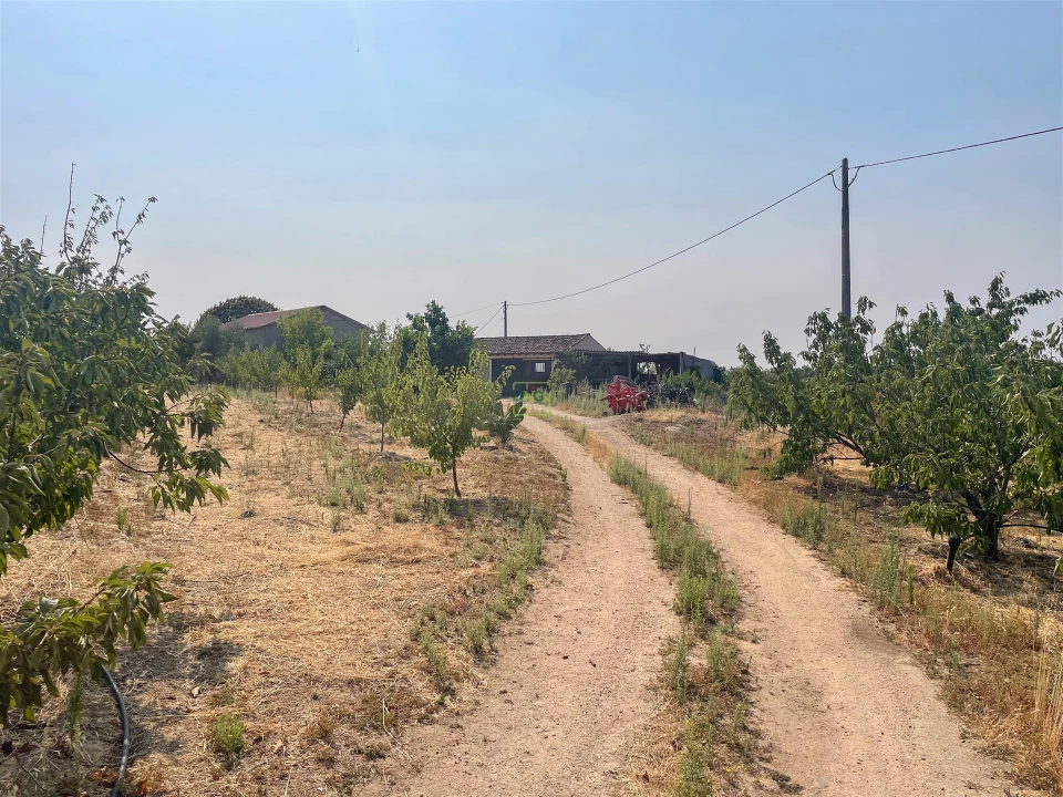 Quinta T1 para Venda em Vale de Prazeres e Mata da Rainha Foto 87