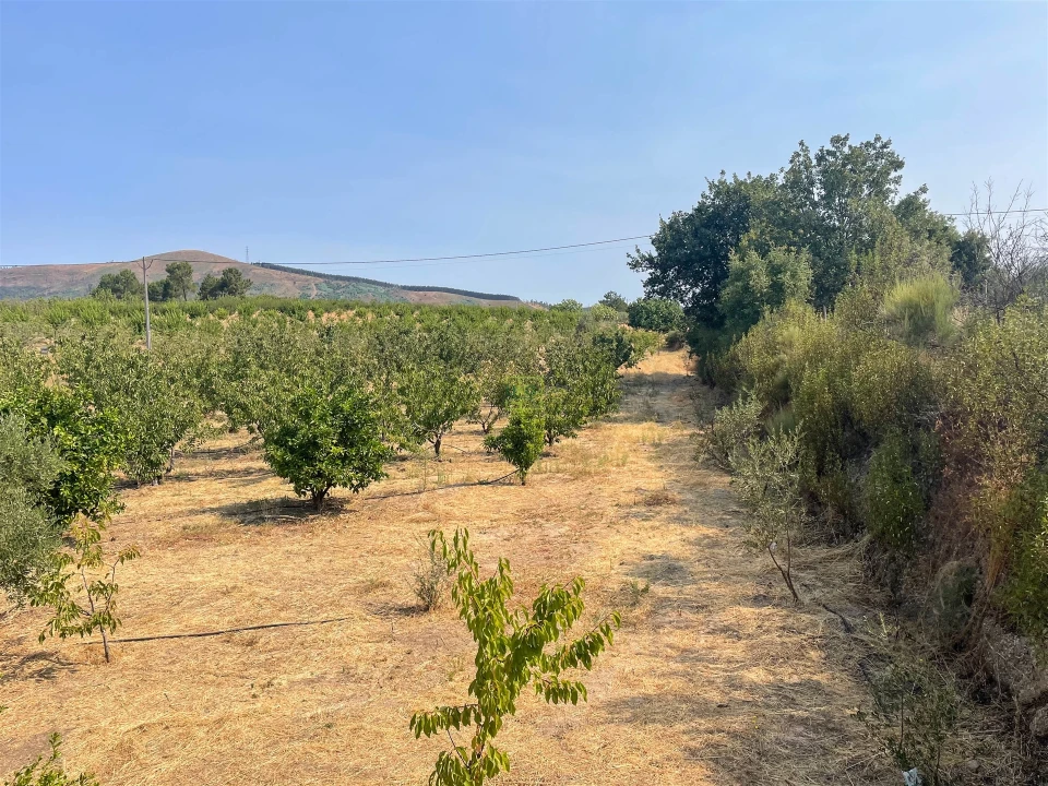 Quinta T1 para Venda em Vale de Prazeres e Mata da Rainha Foto 110