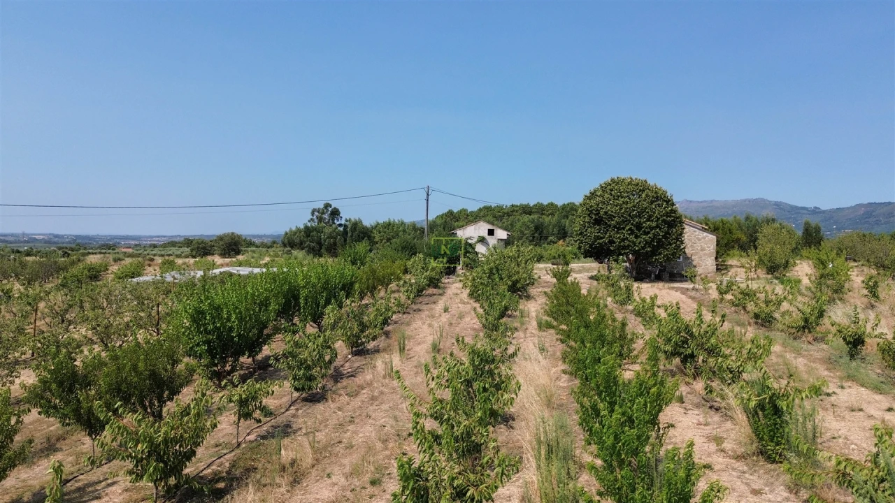 Quinta T1 para Venda em Vale de Prazeres e Mata da Rainha Foto 79
