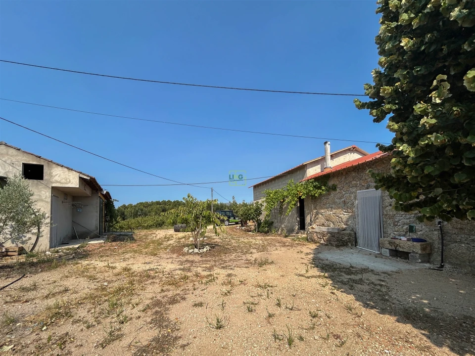 Quinta T1 para Venda em Vale de Prazeres e Mata da Rainha Foto 42