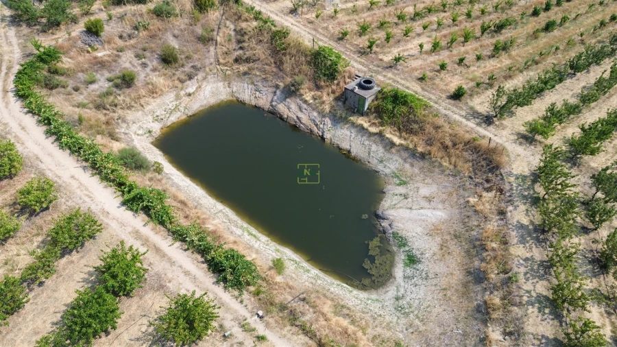 Quinta T1 para Venda em Vale de Prazeres e Mata da Rainha Foto 10