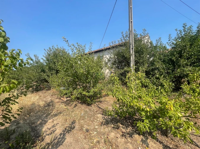 Quinta T1 para Venda em Vale de Prazeres e Mata da Rainha Foto 57