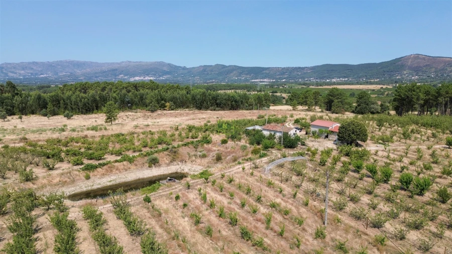 Quinta T1 para Venda em Vale de Prazeres e Mata da Rainha Foto 18