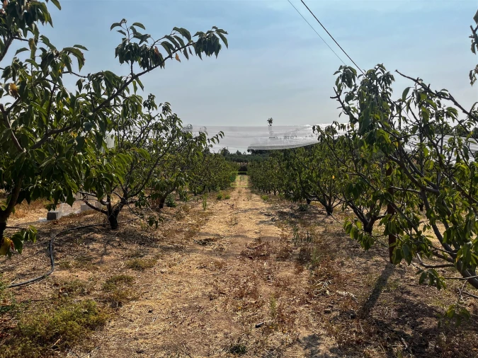 Quinta T1 para Venda em Vale de Prazeres e Mata da Rainha Foto 67