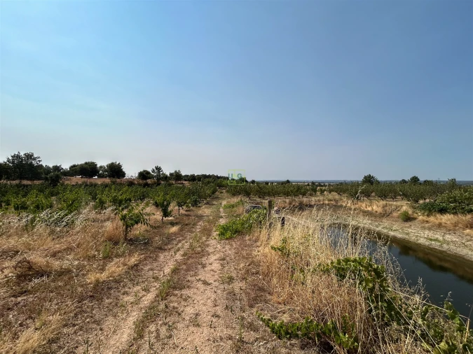 Quinta T1 para Venda em Vale de Prazeres e Mata da Rainha Foto 73