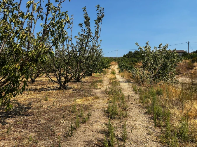 Quinta T1 para Venda em Vale de Prazeres e Mata da Rainha Foto 68
