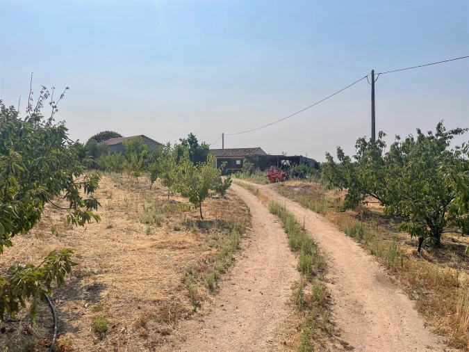 Quinta T1 para Venda em Vale de Prazeres e Mata da Rainha Foto 87