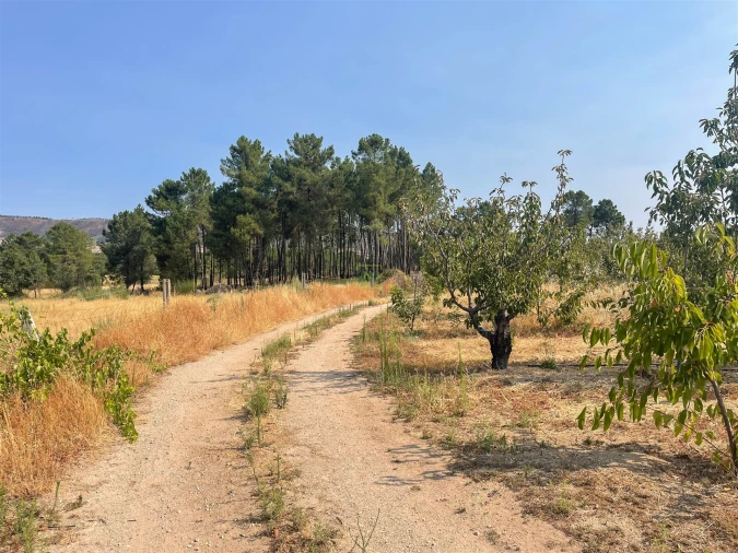 Quinta T1 para Venda em Vale de Prazeres e Mata da Rainha Foto 86