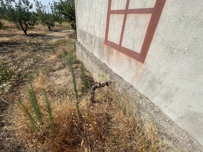 Quinta T1 para Venda em Vale de Prazeres e Mata da Rainha Foto 97