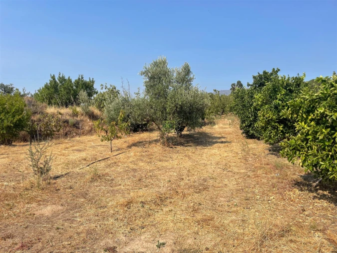 Quinta T1 para Venda em Vale de Prazeres e Mata da Rainha Foto 109
