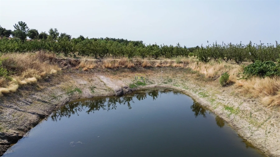 Quinta T1 para Venda em Vale de Prazeres e Mata da Rainha Foto 12