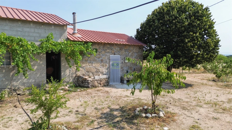 Quinta T1 para Venda em Vale de Prazeres e Mata da Rainha Foto 47
