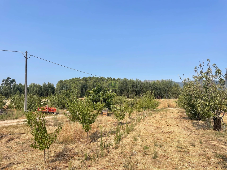 Quinta T1 para Venda em Vale de Prazeres e Mata da Rainha Foto 85