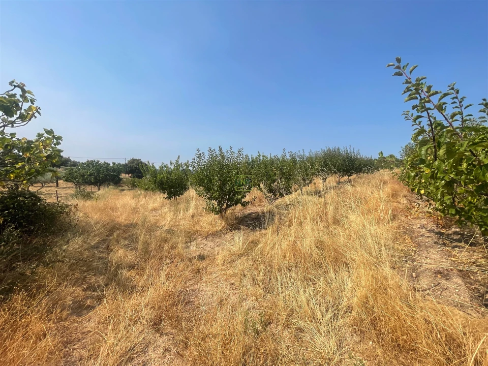 Quinta T1 para Venda em Vale de Prazeres e Mata da Rainha Foto 103