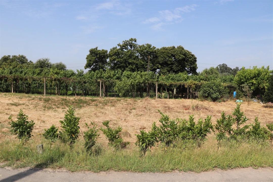 Terreno para Venda em Freamunde Foto 4