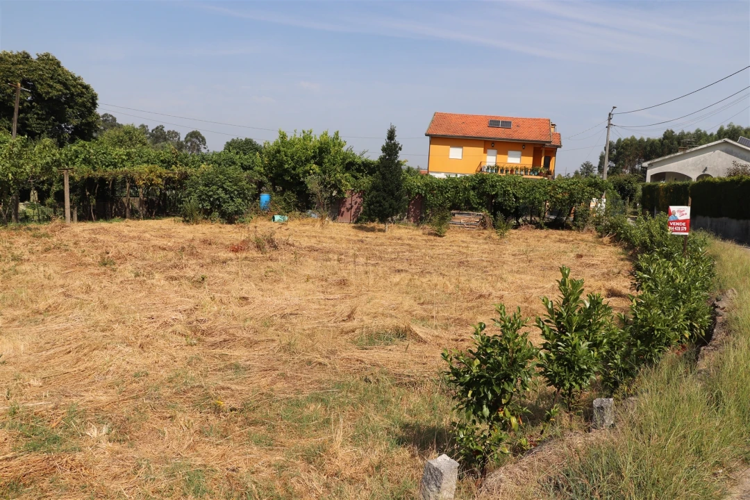 Terreno para Venda em Freamunde Foto 3