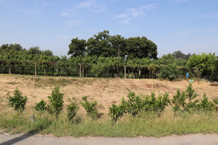 Terreno para Venda em Freamunde Foto 4