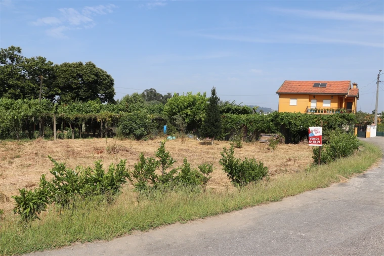 Terreno para Venda em Freamunde Foto 5