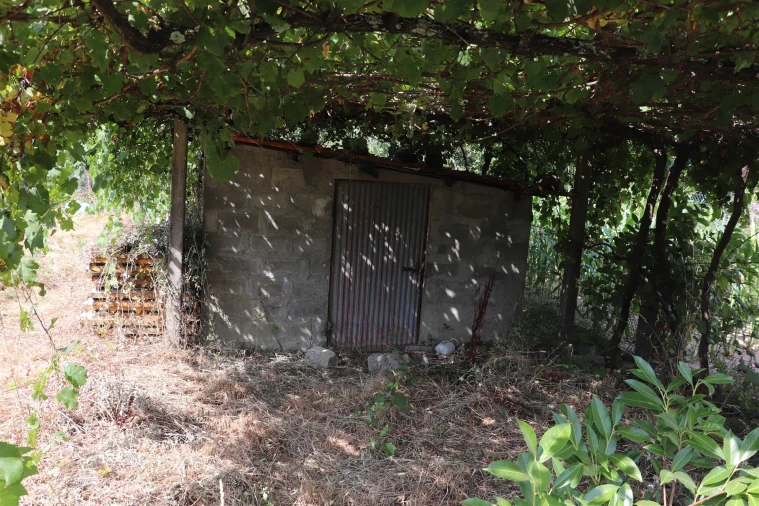 Terreno para Venda em Freamunde Foto 8