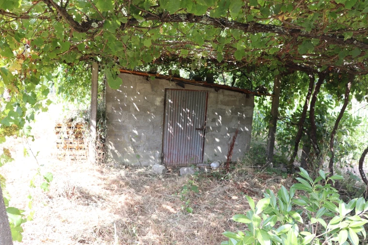 Terreno para Venda em Freamunde Foto 9