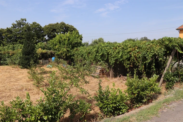Terreno para Venda em Freamunde Foto 10