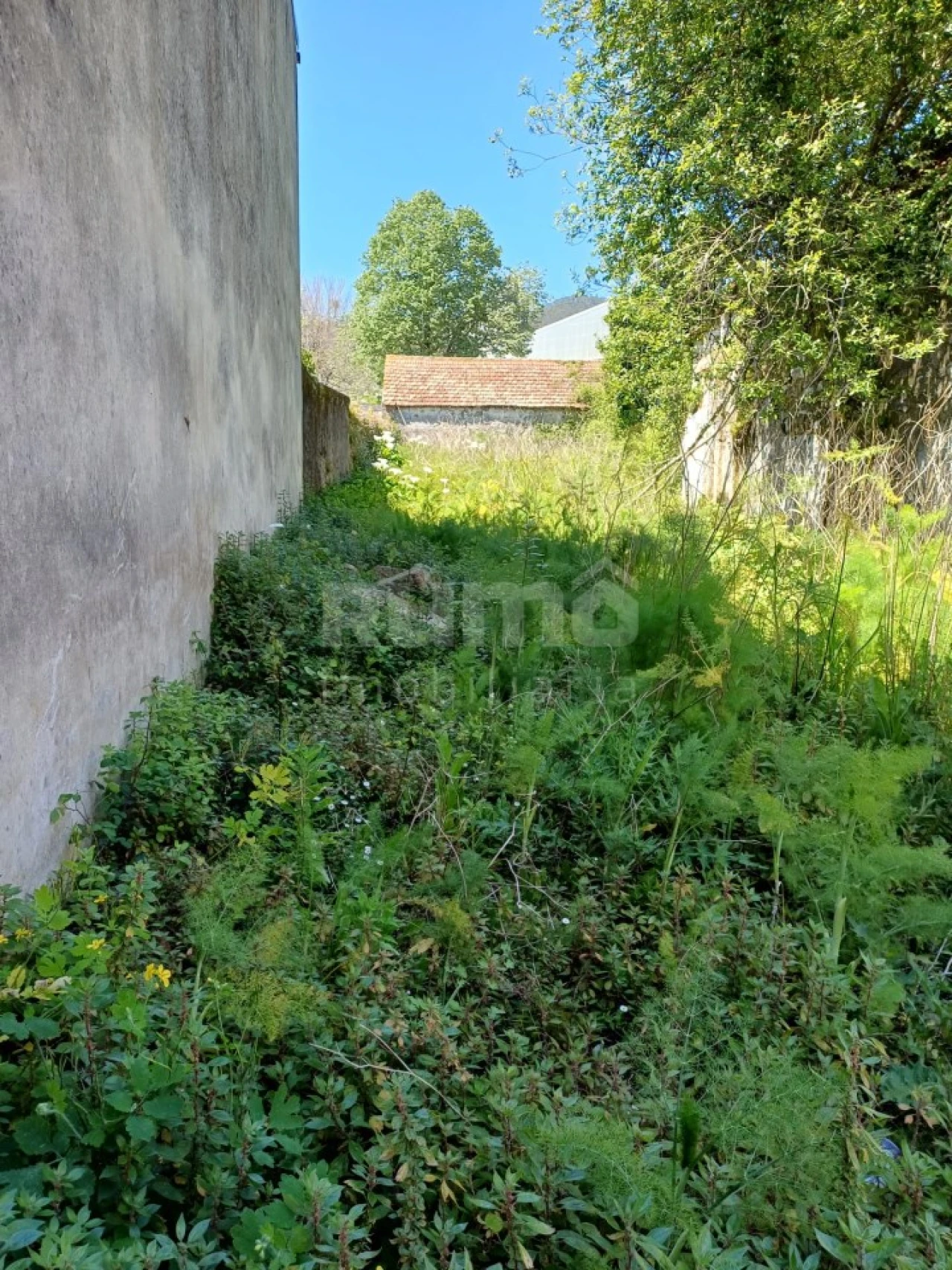 Terreno para Venda em Santa Maria Maior e Monserrate e Meadela Foto 3
