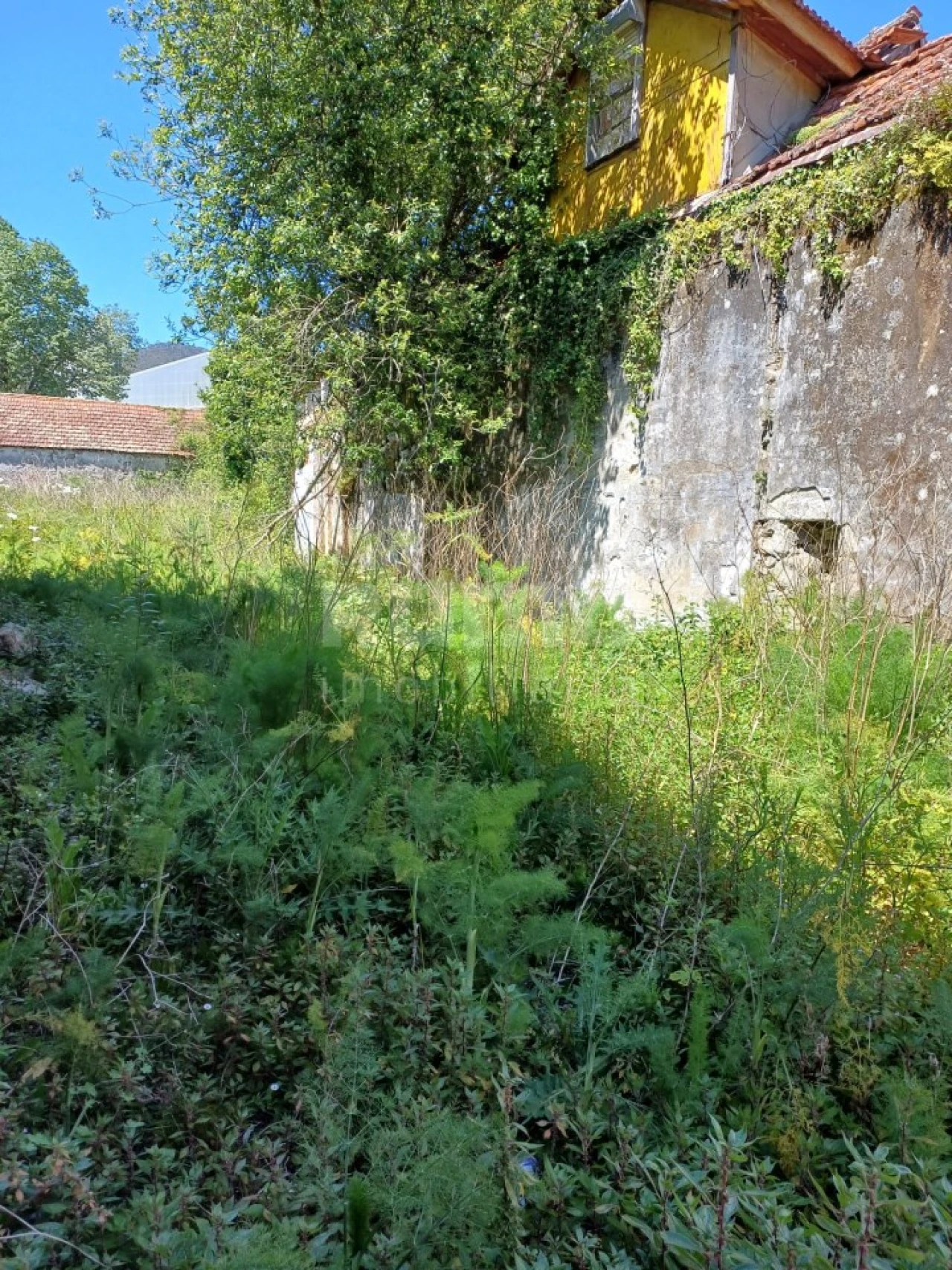 Terreno para Venda em Santa Maria Maior e Monserrate e Meadela Foto 10