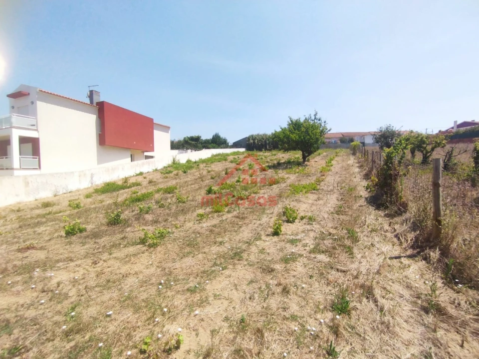Terreno para Venda em Freiria Foto 7