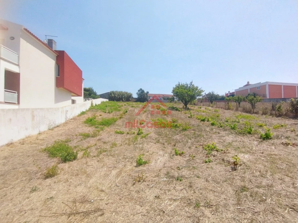 Terreno para Venda em Freiria Foto 8