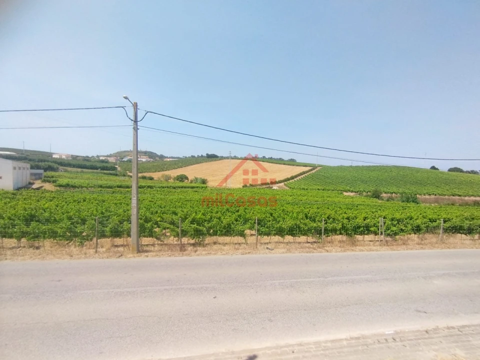 Terreno para Venda em Freiria Foto 12