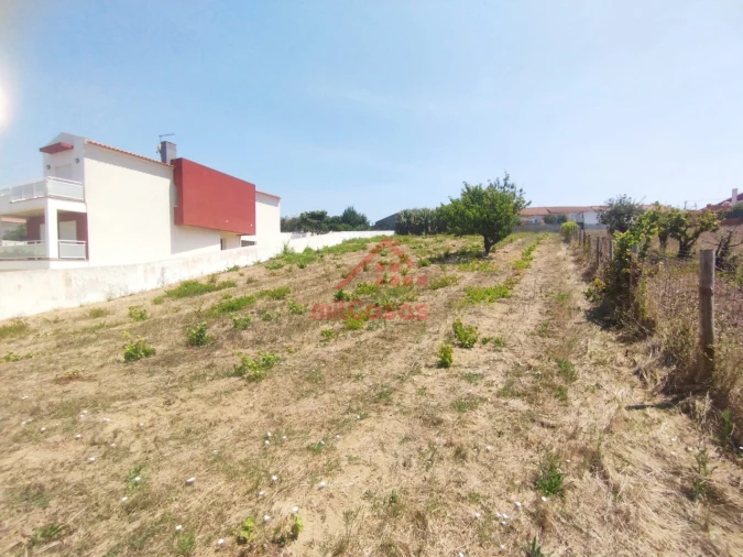 Terreno para Venda em Freiria Foto 3