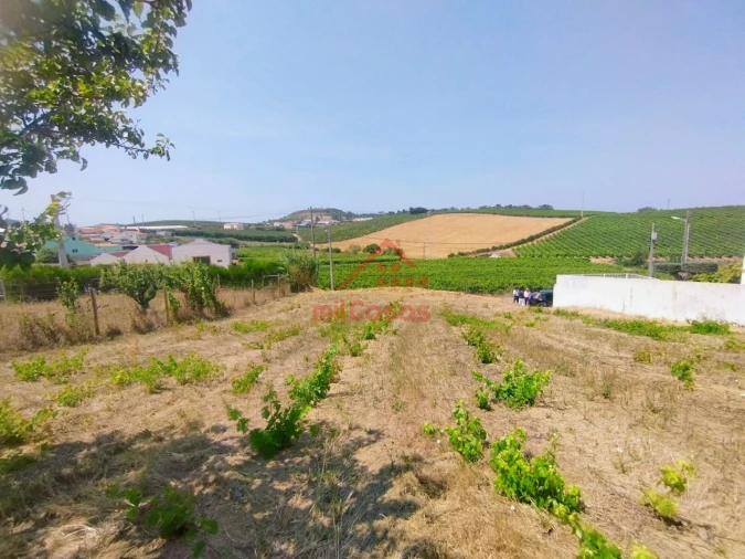 Terreno para Venda em Freiria Foto 4