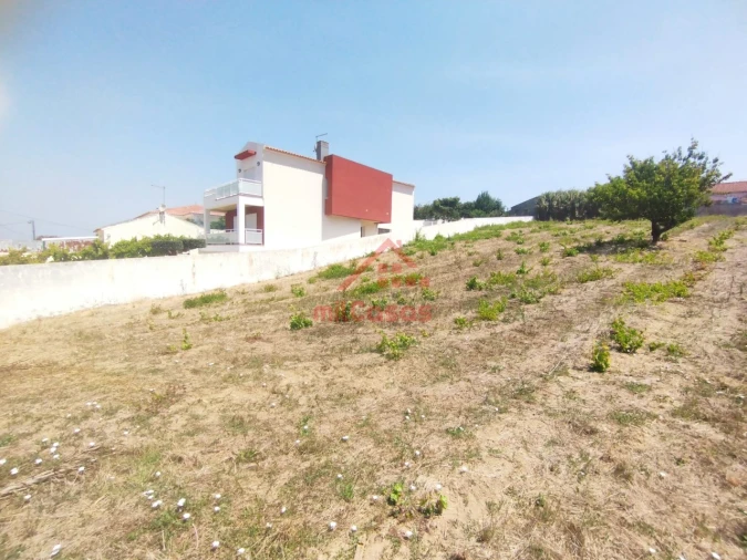 Terreno para Venda em Freiria Foto 5