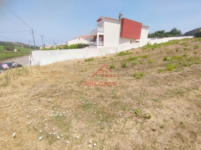 Terreno para Venda em Freiria Foto 6