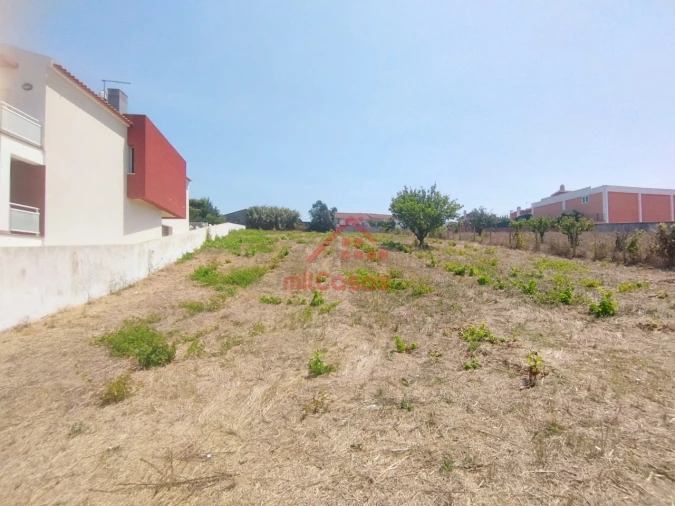 Terreno para Venda em Freiria Foto 8