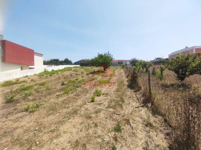 Terreno para Venda em Freiria Foto 10