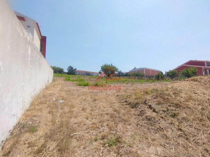 Terreno para Venda em Freiria Foto 11