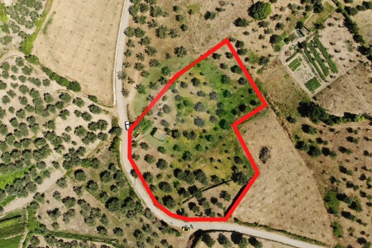 Terreno para Venda em Valpaços e Sanfins