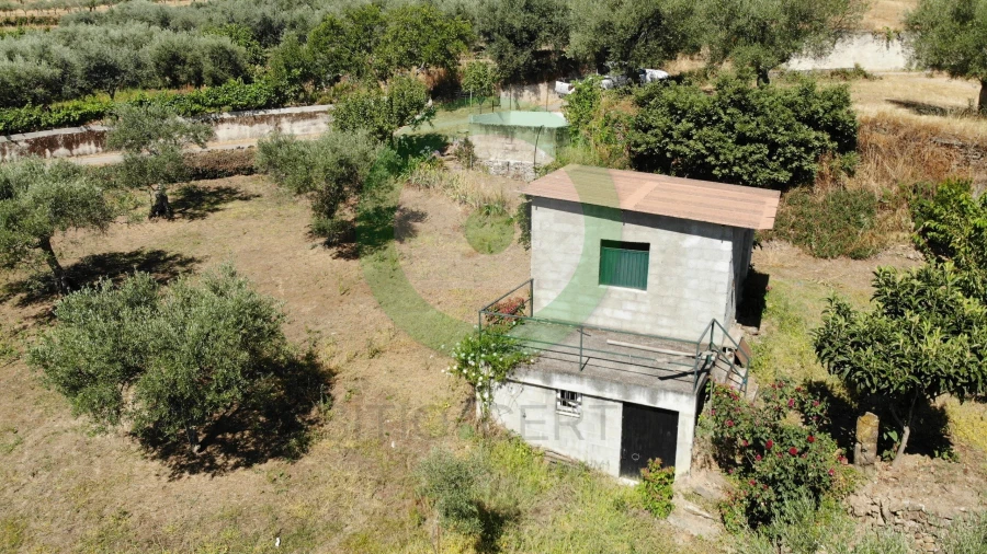 Terreno para Venda em Valpaços e Sanfins Foto 4
