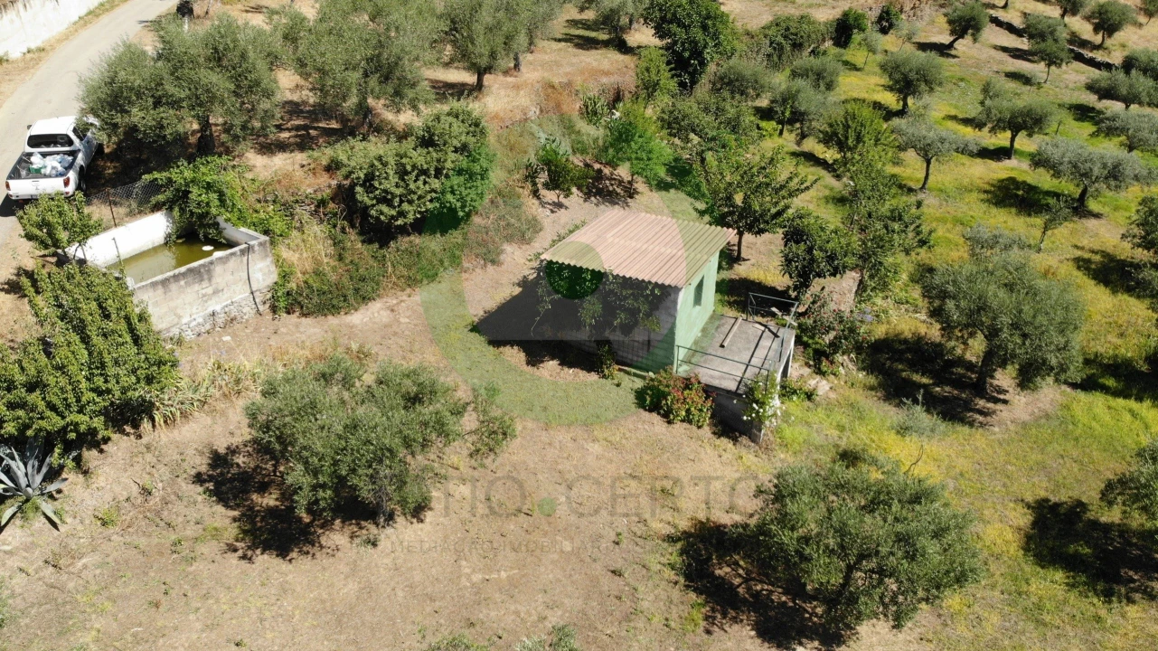Terreno para Venda em Valpaços e Sanfins Foto 3