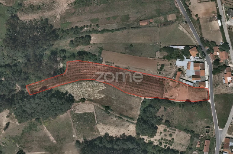 Terreno para Venda em Salir de Matos Foto 4