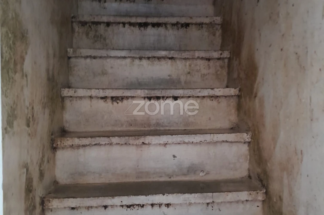 Moradia T3 para Venda em São Miguel do Rio Torto e Rossio Ao Sul do Tejo Foto 12