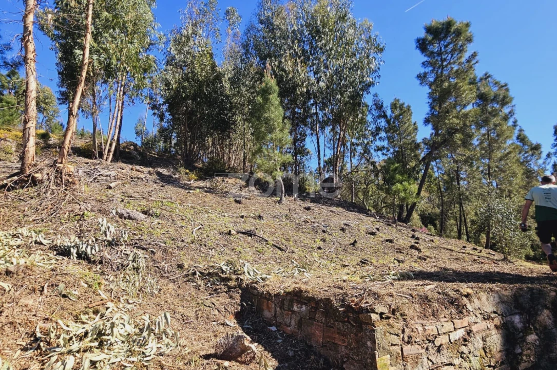 Moradia T5 para Venda em Sardoal Foto 10