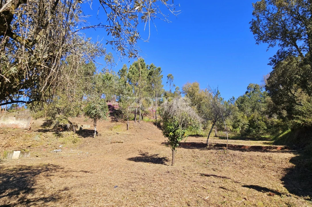 Moradia T5 para Venda em Sardoal Foto 15