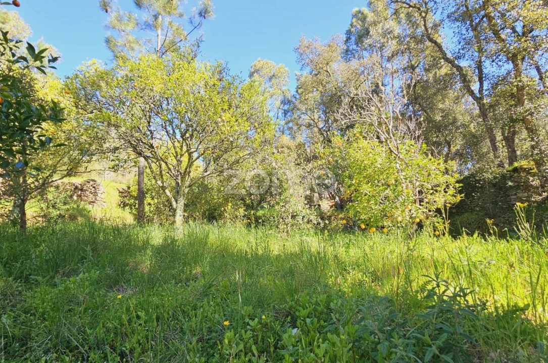 Moradia T5 para Venda em Sardoal Foto 17